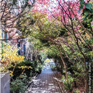 Version papier du Bulletin 2026-2027